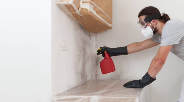 Professional Bathroom Mold Removal technician working in Havertown, PA