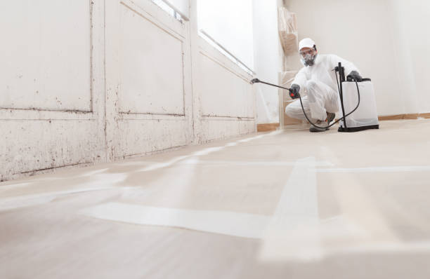 24/7 Emergency Bathroom Mold Removal experts in Havertown, PA